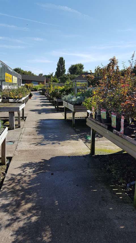 Moores Nurseries and Garden Centre Ltd photo